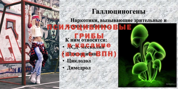 шишки Абдулино