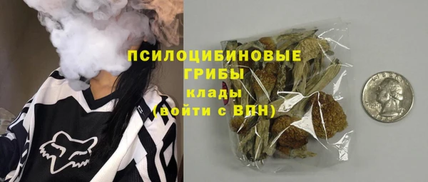 круглые Алзамай
