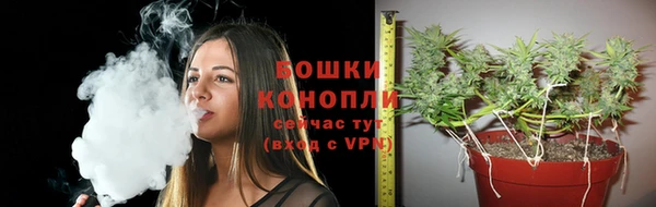 шишки Абдулино