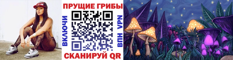 кракен ссылки  купить наркотик  Сольвычегодск  Галлюциногенные грибы GOLDEN TEACHER 