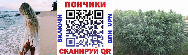 Марихуана ГИДРОПОН  KRAKEN рабочий сайт  Сольвычегодск 